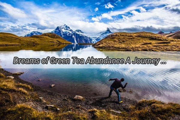 Dreams of Green Tea Abundance A Journey Through a Lush Lively Green Tea Market in Your Sleep